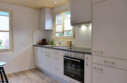 Interlaken House | Stunning private villa for 5 guests with WIFI, TV, patio, pets allowed, panoramic view and parking