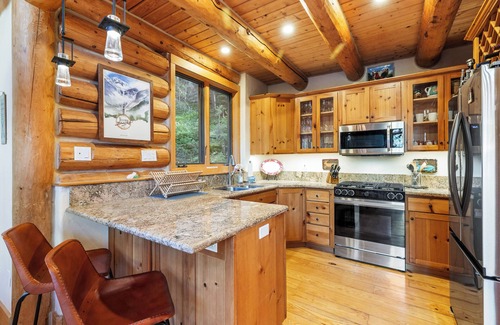 Mountain Village Cabin | Stunning Views! Ski-In/Out Mountain Village Cabin
