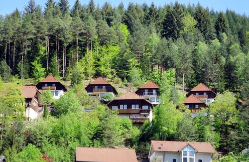 Hornberg House | Stunning villa for 6 guests with WIFI, TV, balcony, pets allowed and parking