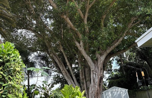 Miami Shores Apartment | Stylish 1bedroom and bath studio with private entrance and parking. Central