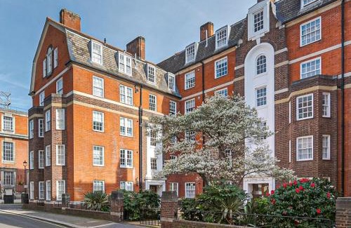 Pimlico Apartment | Stylish 1BR, 15 mins to Buckingham Palace, Central London