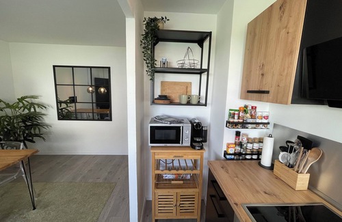 Radolfzell am Bodensee Apartment | Stylish apartment with unique charm