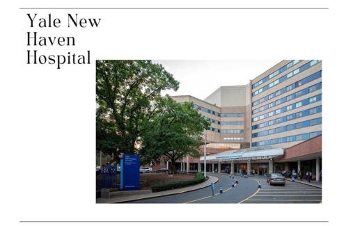 Downtown Apartment | Stylish Yale Wooster Square Downtown Laundry