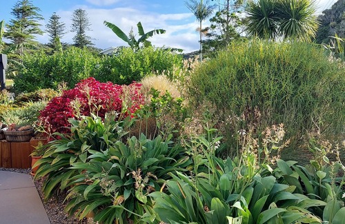Matapouri House | Sub-tropical Escape - new, modern holiday home in Matapouri Park
