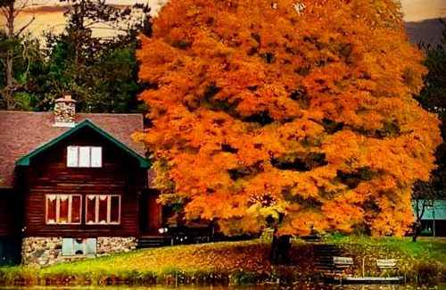 Park Falls House | Sugar Maple at Hansen Lake, 6 Beds, Historic Charm