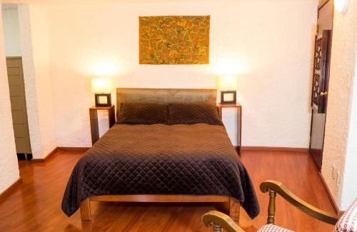 Campestre Apartment | Suite 2B, Vista, Garden House, Welcome to San Angel