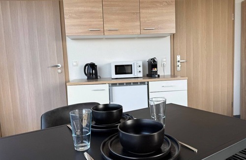 Pforzheim Apartment | Suite-Private Bathroom-City view