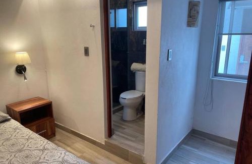 Coyoacan Apartment | Suites C O V A D O N G A