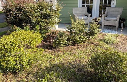 Summerville House | Summerchill House in Summerville is awaiting your arrival