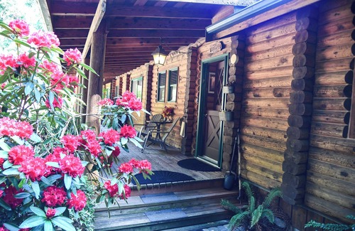 Langley Apartment | SUMMERHILL ISLAND CROFT Perfect for Boaters and Fisherman! Easy turn around!