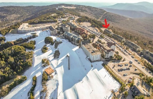 Snowshoe Apartment | Summit 204D at Snowshoe