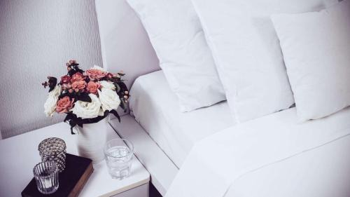 Silver Springs Hotel | Sun Plaza Motel