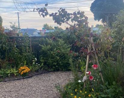 Lower Hutt House | Sunny 3 Bedroom with garden close to hospital