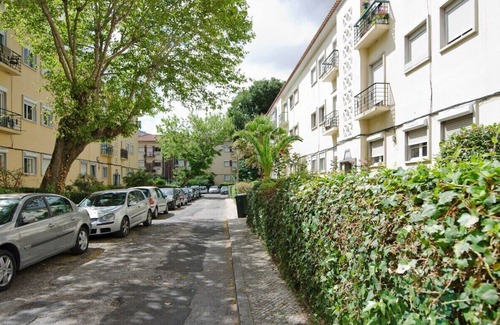 Alvalade Apartment | Sunny and Cosy Apartment in Alvalade