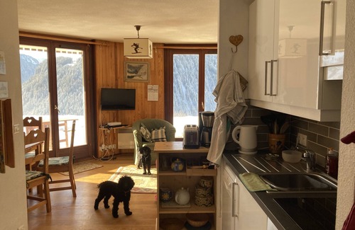 Chatel Apartment | Sunny Apartment For 5 in Petit Chatel with summer Multipass