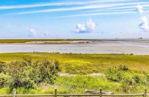 Galveston House | Sunny oceanfront home with enclosed yard, full kitchen, & washer/dryer