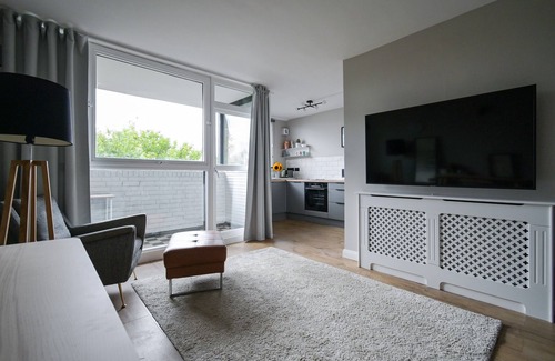 Pimlico Apartment | Sunny scandinavian style sudio central