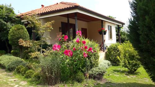 Saints Constantine and Helena Villa | Sunny villa Boutique Varna