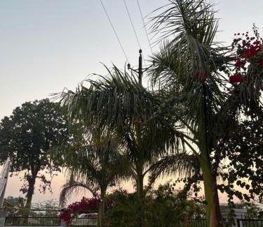 Khajuraho Bed & Breakfast | Sunrise Bed & Breakfast