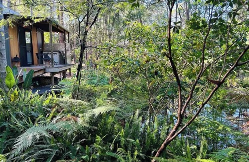 Doonan Cabin | Sunset Cabinn10 years and current SuperHost with Air BNB now available on VRBO.