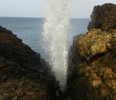 Matara House | Sunset Surfing Beach Resort