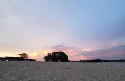 Cove - East Side - Shippan Apartment | Sunshine Room by harbor downtown beach I-95&Train