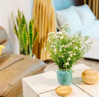 Thuy Khue Apartment | Sunstay Paradise