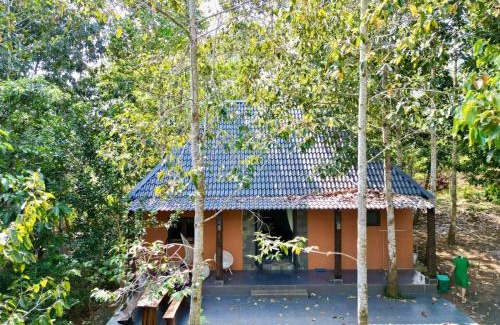Chau Duc Cabin | Suoi Rao Ecolodge