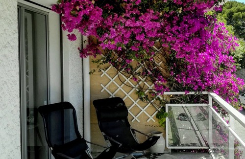 Cassis Apartment | SUPER BESTOUAN at Cassis