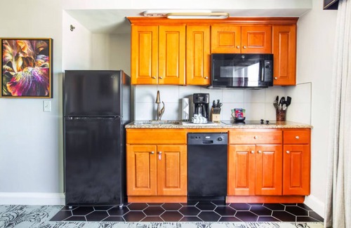 Faubourg Lafayette Apartment | Super Bowl Weekend in New Orleans! 1BR sleeps 4 w/kitchen on streetcar route!