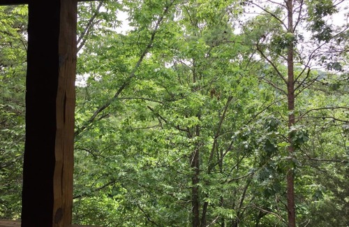 Pigeon Forge Cabin | Super Popular Cabin! Awesome Hot Tub!