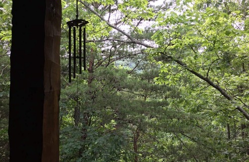 Pigeon Forge Cabin | Super Popular Cabin! Awesome Hot Tub!