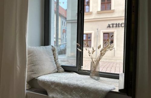 Pirna Apartment | Super zentral mit Parkplatz, Fenster verspiegelt