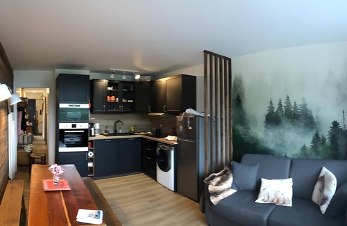 Besse-et-Saint-Anastaise Apartment | Superbe Appartement en Coeur de Station