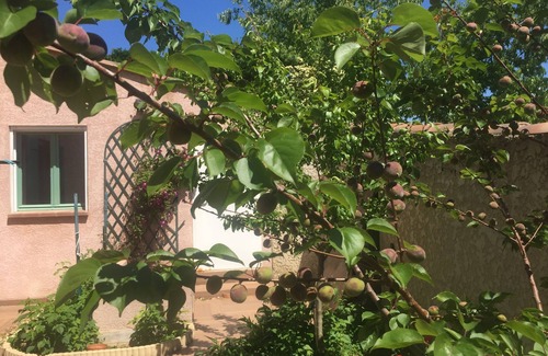 Grans Villa | Superb villa, private pool, poolhouse, garden, quiet ideal family