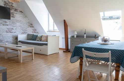 Saint-Aignan Apartment | Superbe appartement - 5 mn du Zoo de Beauval (8p)