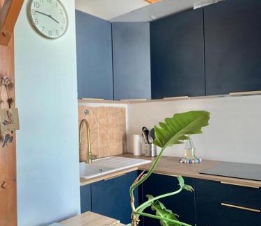 Manigod Apartment | Superbe studio pied des pistes- linge de maison non fourni