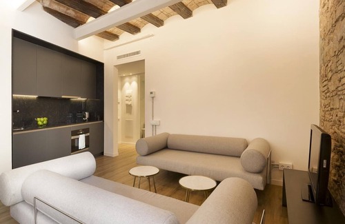 El Born Apartment | Superior Deluxe One Bedroom Apartment