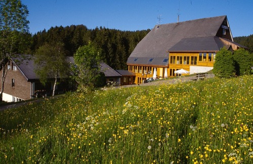 Furtwangen Apartment | Superior double room with balcony