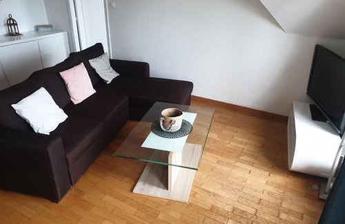 Haguenau Apartment | Sur les toits du centre