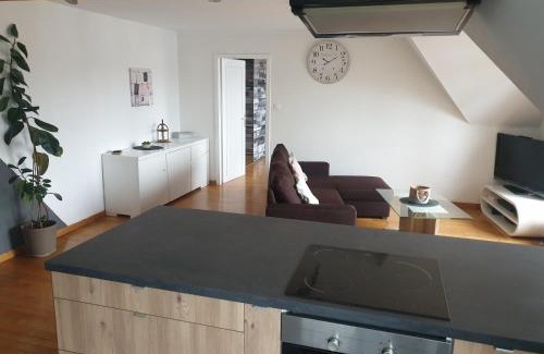 Haguenau Apartment | Sur les toits du centre