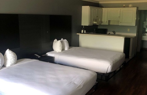Conway Hotel | SureStay Hotel by Best Western Conway
