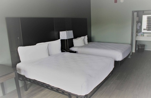 Conway Hotel | SureStay Hotel by Best Western Conway
