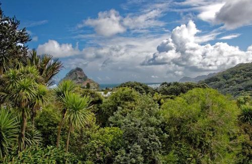 Piha House | Surfer's Sunshine Cottage - Piha Holiday Home