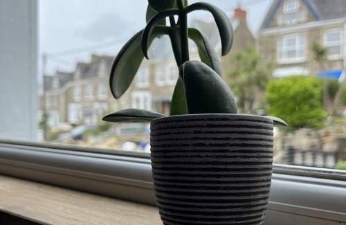 Perranporth Apartment | Surfside - a fresh new apartment