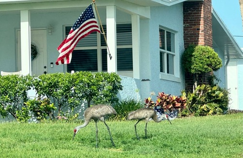 Fort Pierce House | Susannah River House located on banks of Indian River Lagoon in The Sunrise City