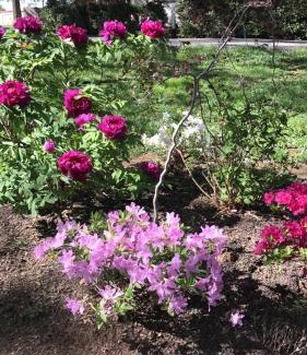 Marietta Bed & Breakfast | Susquehanna Manor Inn