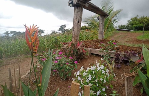 Cerro Plano Cabin | Sustainable Solar House, Ultra-low Carbon Footprint, pet-friendly!