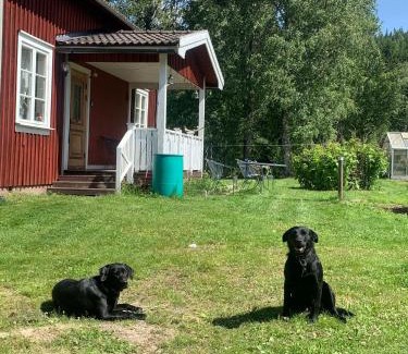 Sunnemo Villa | Svartån Gård