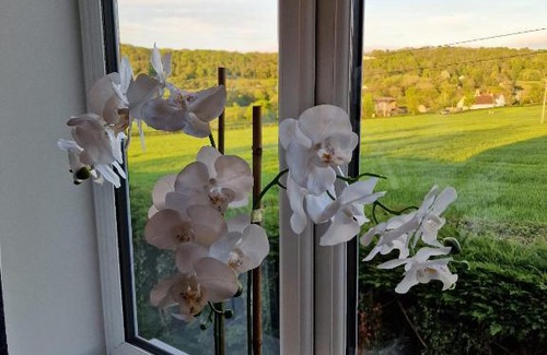 Taunton House | Swan Retreat